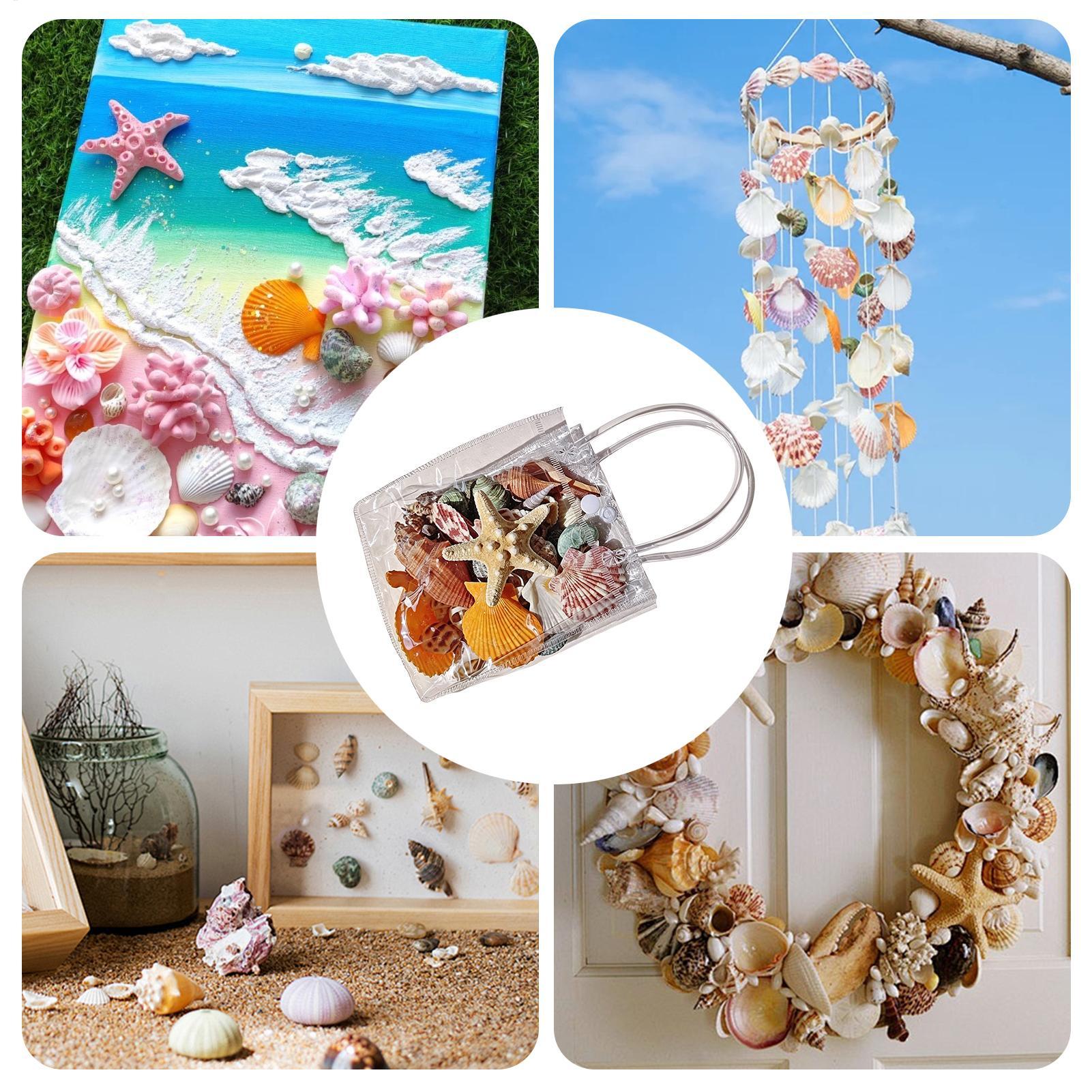 Winzige Muscheln für Bastelarb – Candle Making For Kids Bewertung und Preis