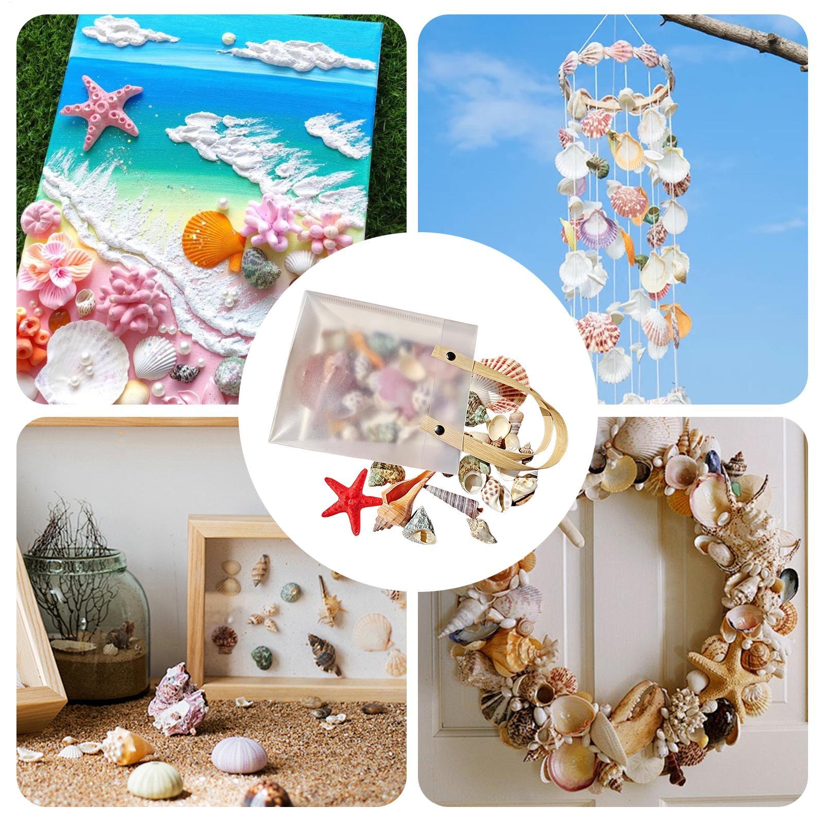 Winzige Muscheln für Bastelarb – Candle Making For Kids Bewertung und Preis