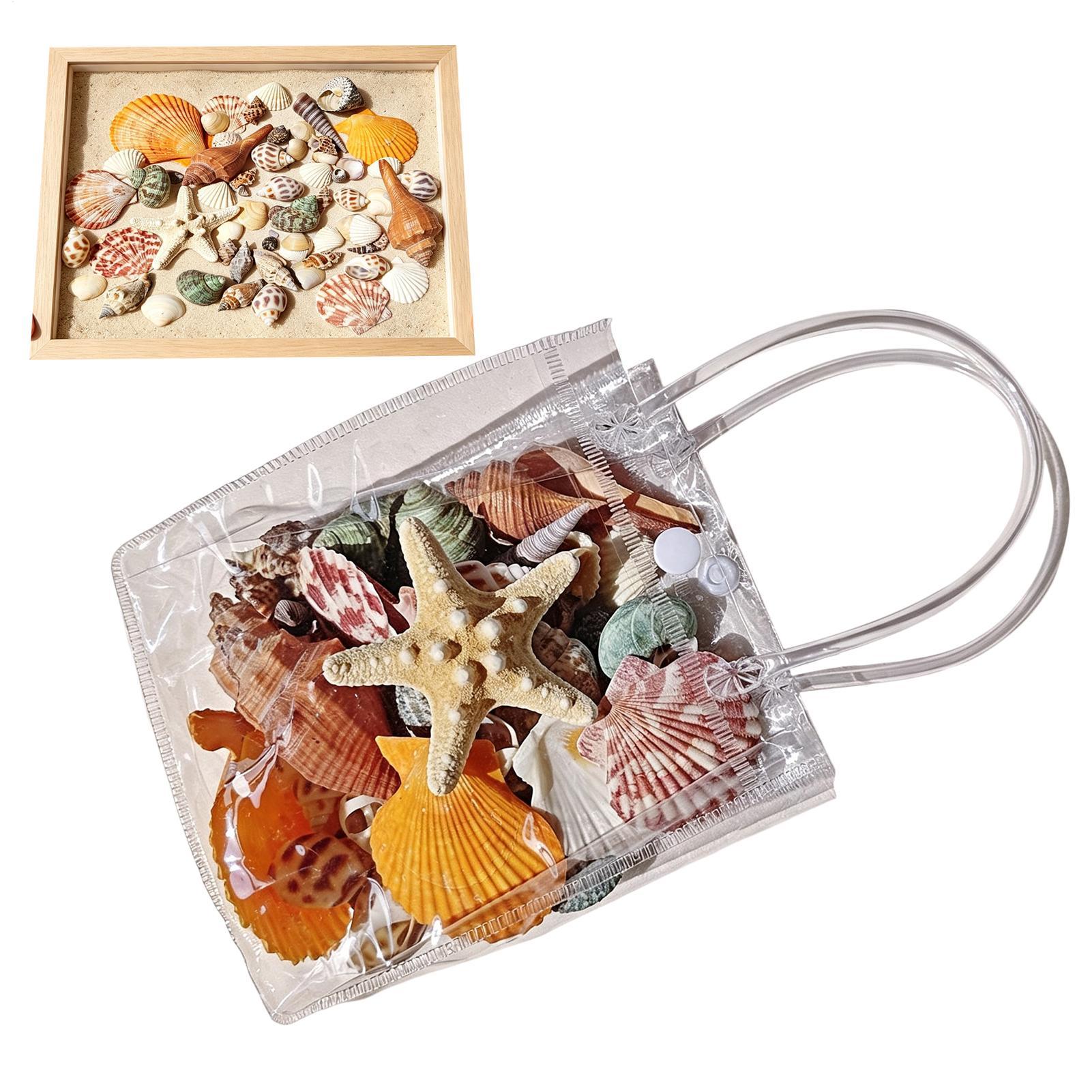 Winzige Muscheln für Bastelarb – Candle Making For Kids Bewertung und Preis